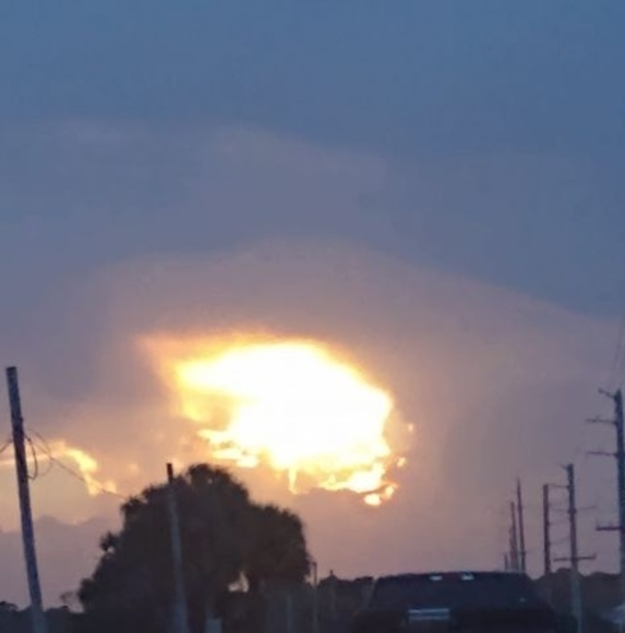 Meet your Posher, Tammy - Picture 1 of 1